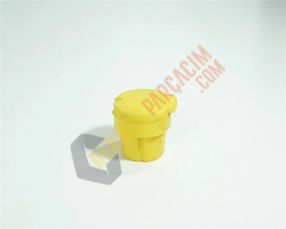 Clio 4 Cam Su Deposu Kapağı 289135972R