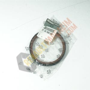 Master 2 Espace 4 Krank Arka Keçe 7700859266