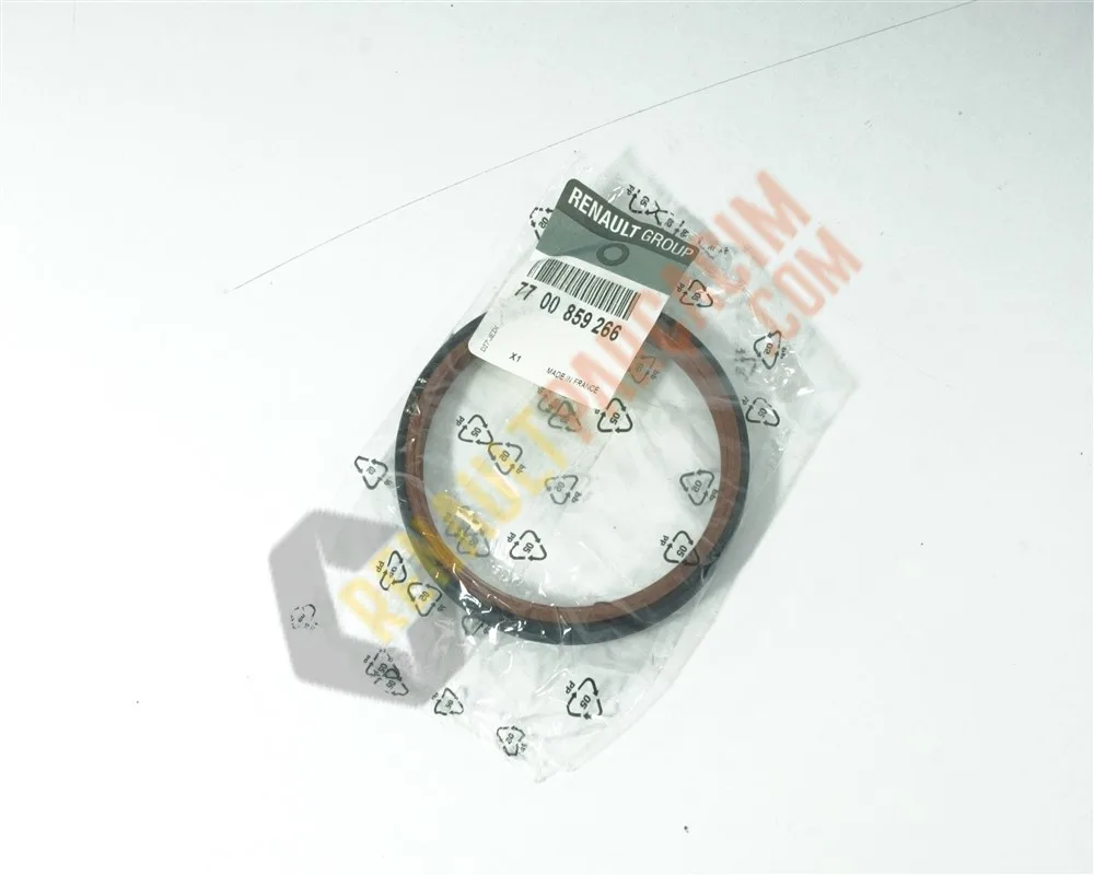 Master 2 Espace 4 Krank Arka Keçe 7700859266