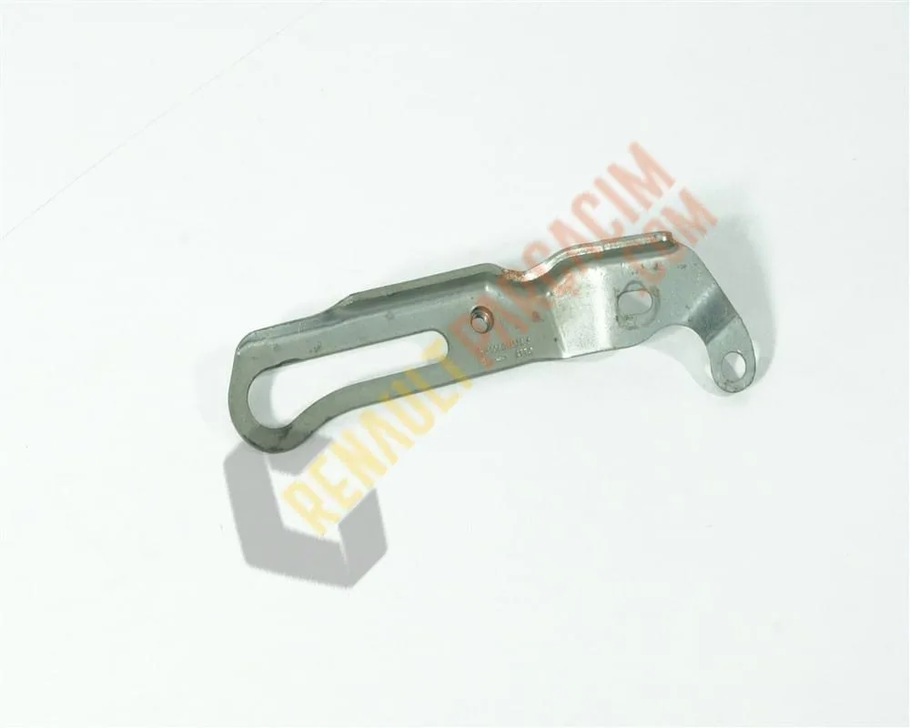 Duster Alternatör Gergi Supportu 8200581373