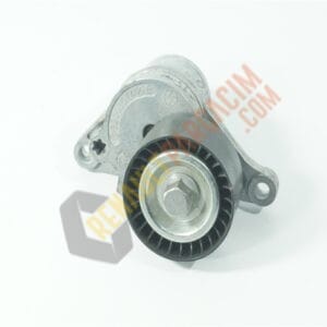 Koleos 1 Alternatör Gergi Rulmanı 8200357406