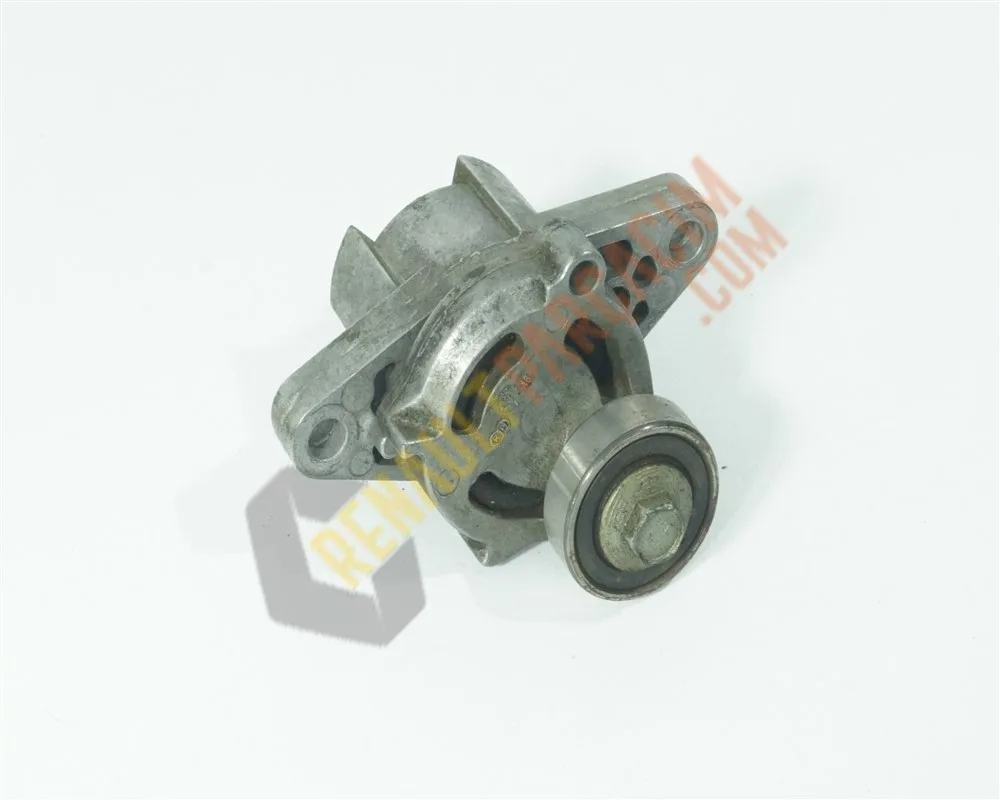 Megane 1 Alternatör Gergi Rulmanı Kütüklü 7700102872