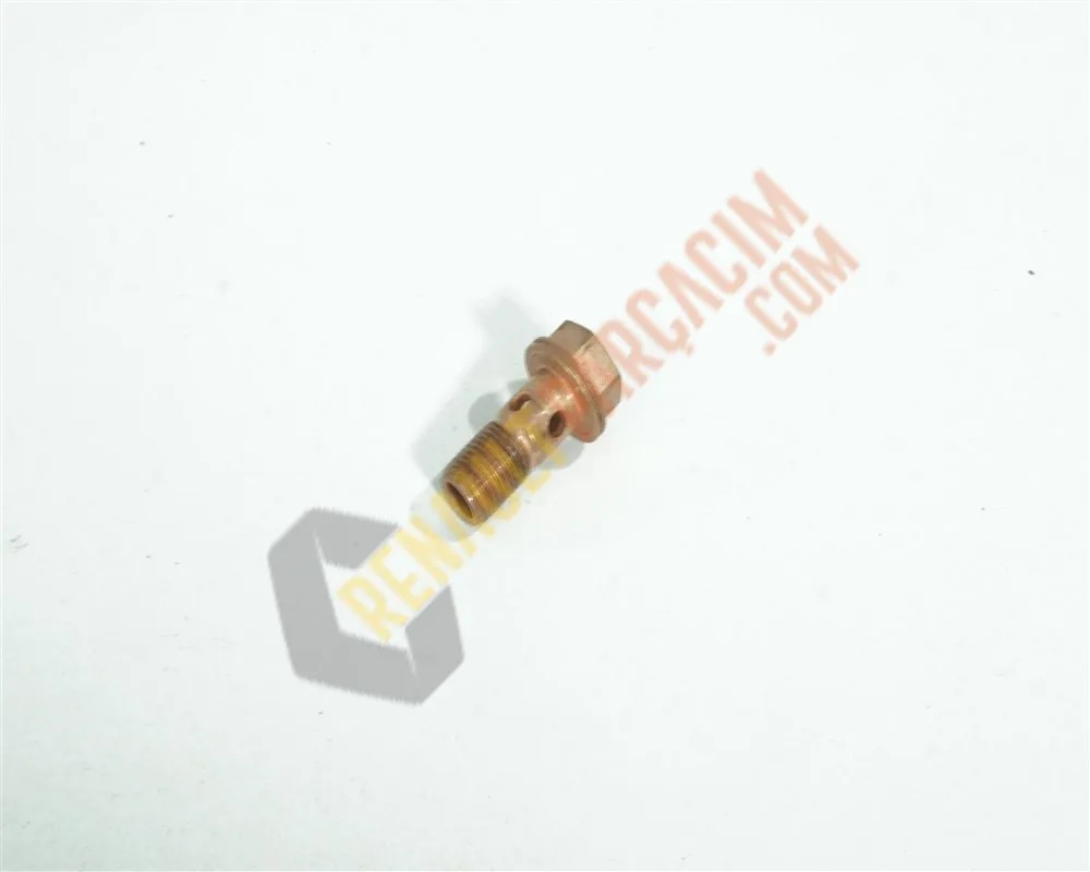 Megane 4 Turbo Yağlama Civatası 223136547R