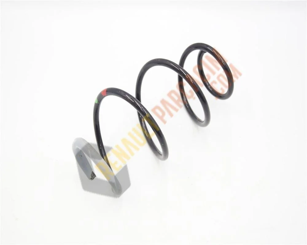 Zoe Ön Helezon Yayı 540107003R 540101474R