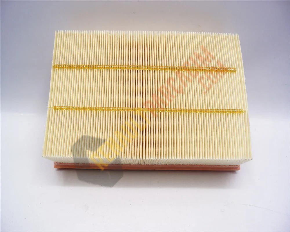 Espace 5 Hava Filtresi 165466515R