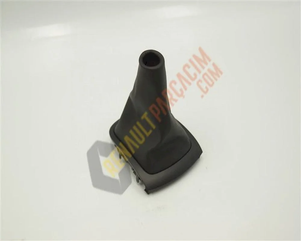 Fluence Vites Körüğü Ve Çerçevesi 969358108R